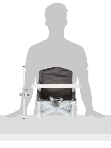 Regalo My Chair 2-in-1 Portable Travel Booster Seat & Activity Chair, Bonus Kit Includes, Oversized Removable Tray with Cup Holder, Gray