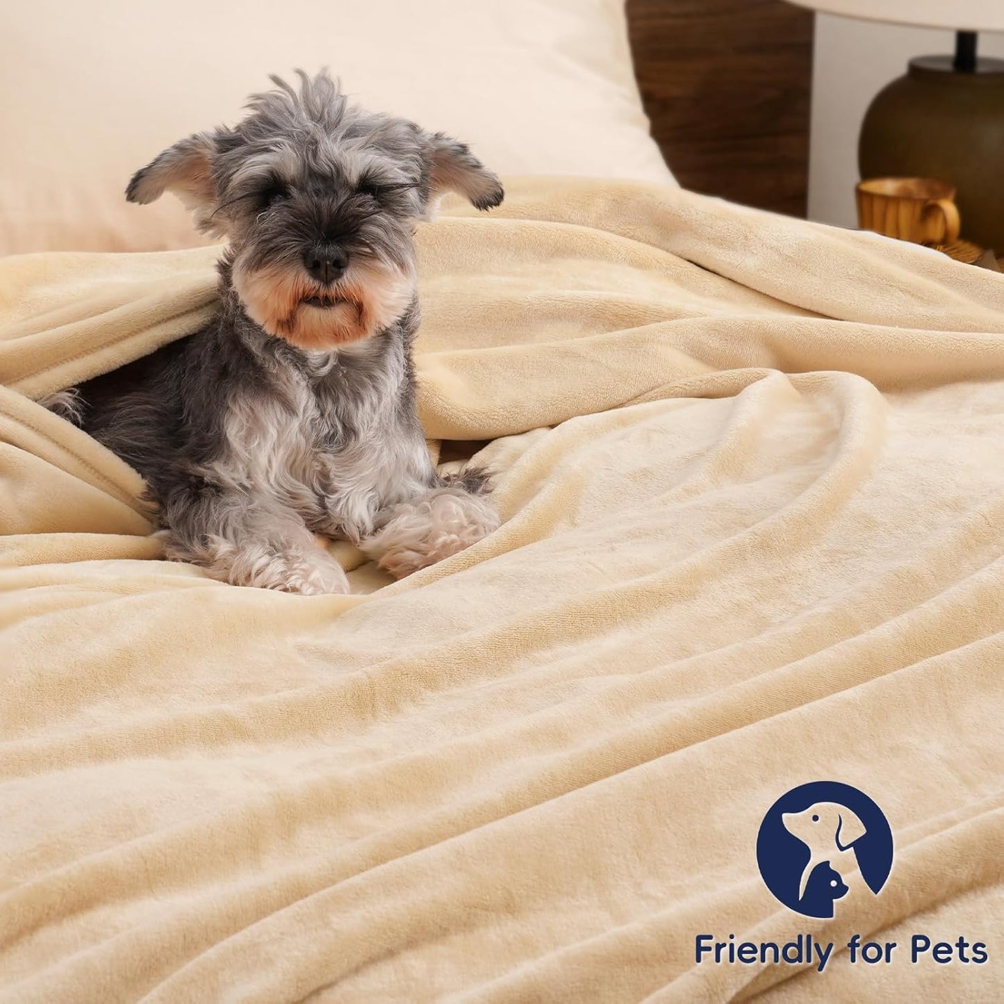 PHF Ultra Soft Fleece Blanket Twin Size, No Shed No Pilling Luxury Plush Cozy 300GSM Lightweight Blanket for Bed, Couch, Chair, Sofa Suitable for All Season, 66" x 90", Beige