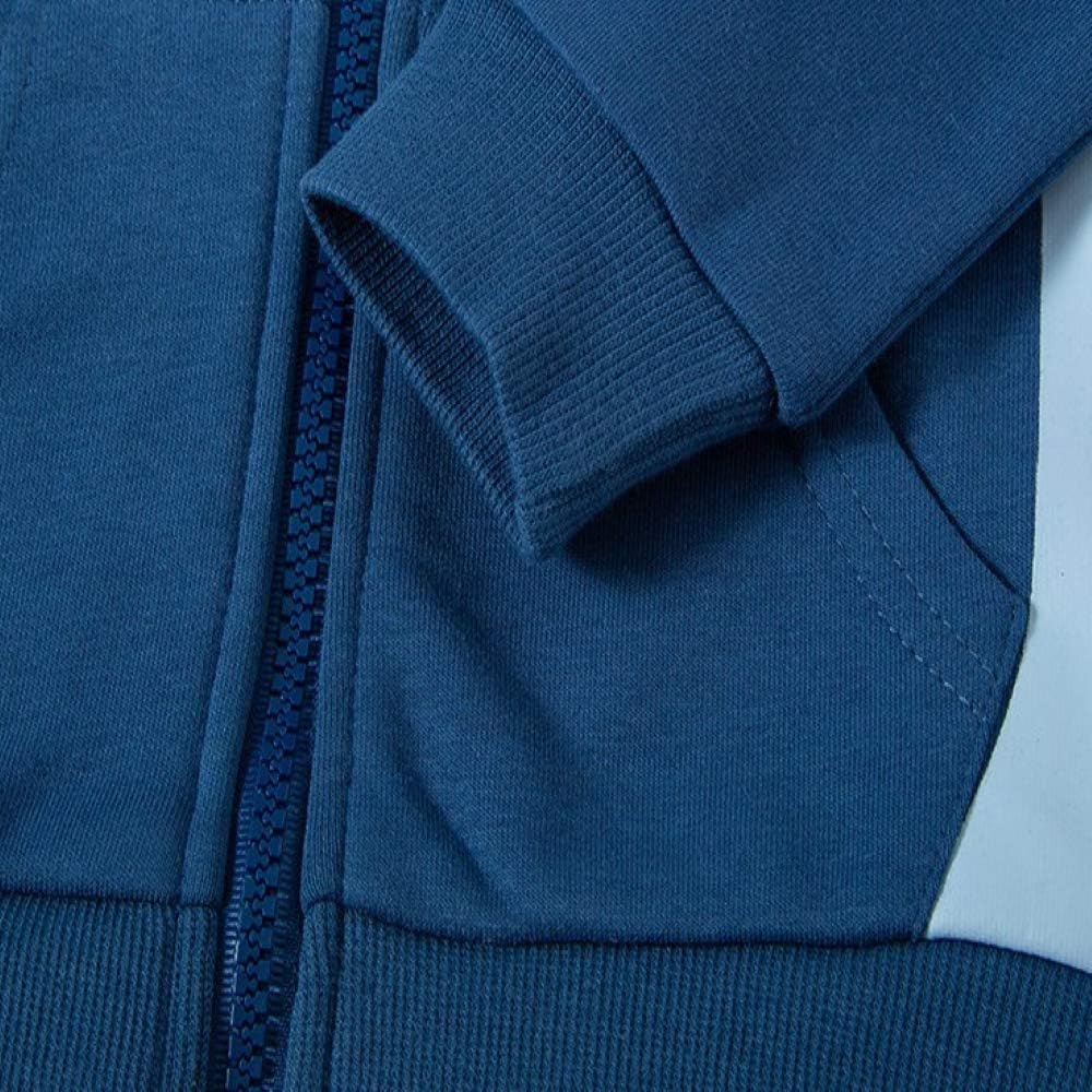 Toddler Boys Full Zip Dinosaur Hoodies Comfortable Sweatshirt