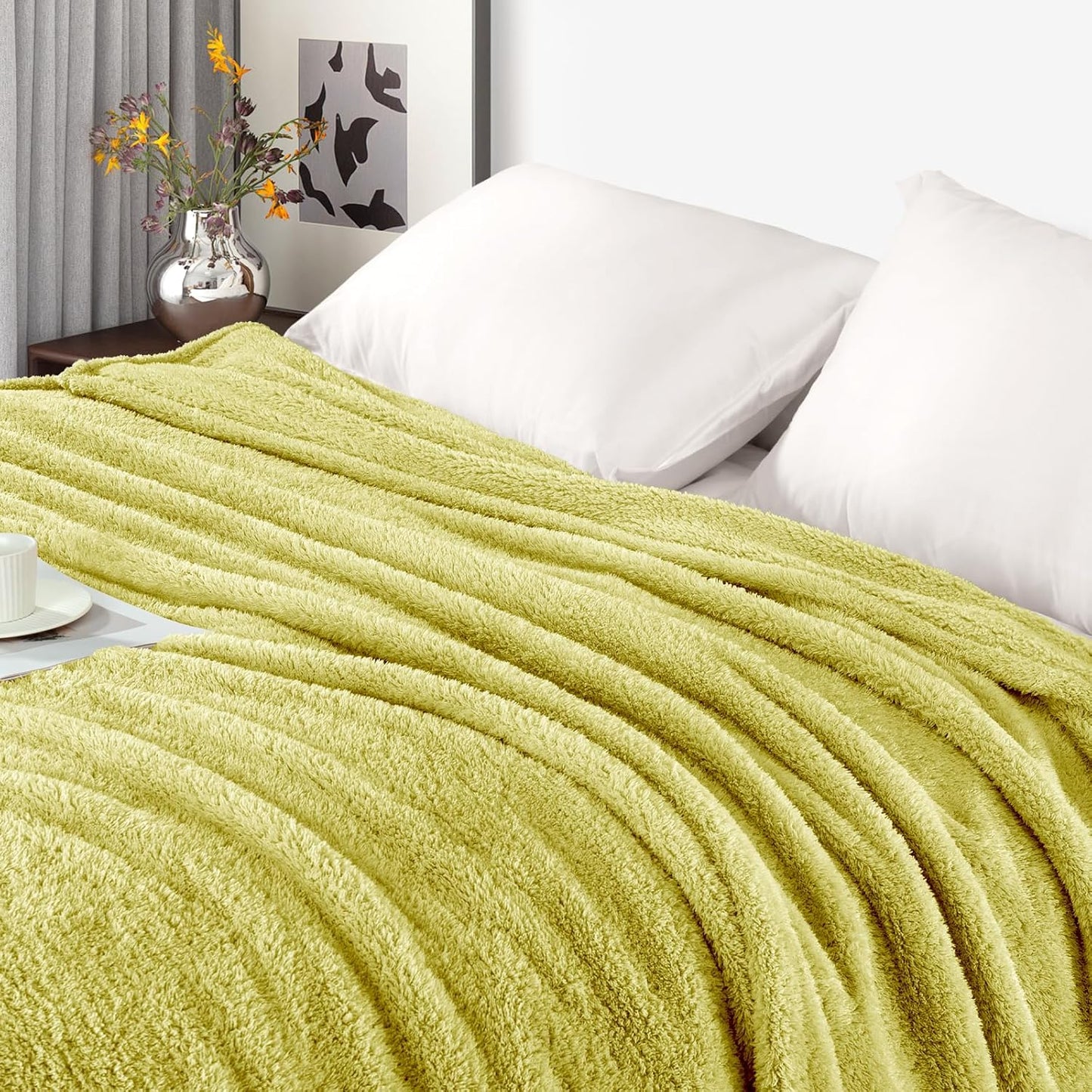 Exclusivo Mezcla Fleece Blanket for Couch, Soft and Cozy Queen Blankets for Women Men Girls Kids, Suitable for All Seasons, Light Green, 90x90 Inches